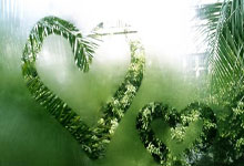 中超最新排名有哪些变化？各队争冠保级形势如何？